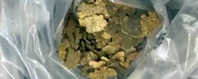 Работник рудника в Красноярском крае спрятал в лесу золото на 8,5 млн рублей