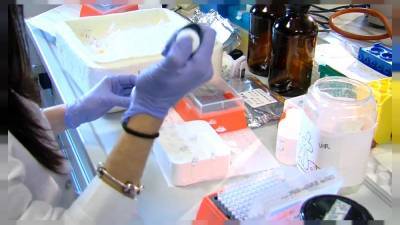 В Мадриде приступают к испытанию вакцины от COVID-19