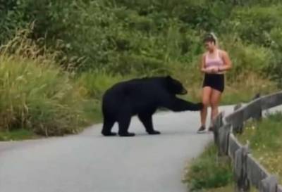 Медведь потрогал бегунью за ногу (1 фото + 1 видео)