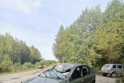Машину в утиль, пассажирку в больницу: в Костромской области произошло ДТП с лосем