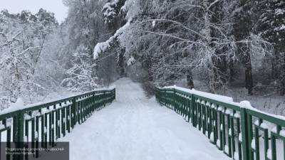 Климатолог рассказал, какая погода будет зимой в Москве