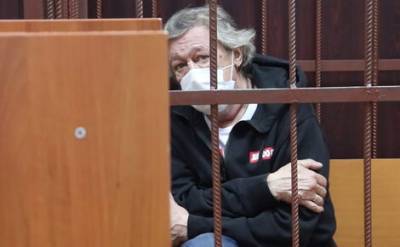 Пресненский суд Москвы признал Михаила Ефремова виновным по делу о смертельном ДТП в центре Москвы