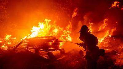 Площадь пожаров в Калифорнии превысила 880 тысяч гектаров