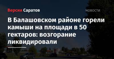 В Балашовском районе горели камыши на площади в 50 гектаров: возгорание ликвидировали