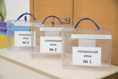 Уже более 35 тысяч воронежцев захотели проголосовать за депутатов облдумы на дому