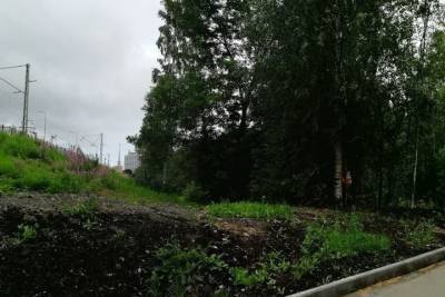 Ради автомобильной парковки около вокзала Петрозаводска срубят часть зеленого сквера