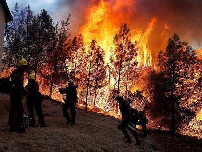 В Калифорнии в результате природных пожаров сгорело около 810 тыс. гектаров территории: это новый антирекорд штата