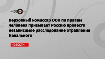 Верховный комиссар ООН по правам человека призывает Россию провести независимое расследование отравления Навального