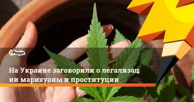 НаУкраине заговорили олегализации марихуаны ипроституции