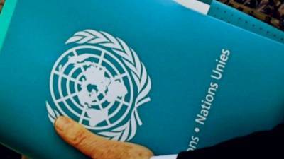 Крым ждёт мониторинговую миссию ООН