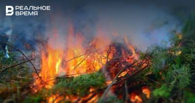 МЧС по Татарстану: 9 сентября в республике локально сохранится высокая пожароопасность лесов