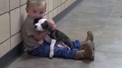 Малыш с заячьей губой усыновил собаку-спасателя — тоже с заячьей губой