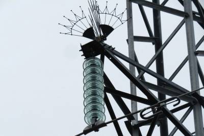 Энергетики «Россети Центр Тверьэнерго» устанавливают птицезащитные устройства на линиях электропередачи