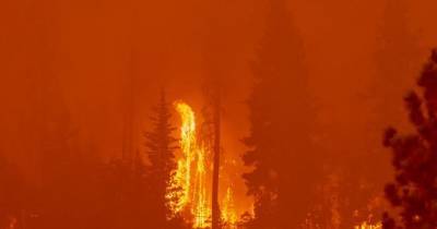 В Калифорнии побит «огненный» рекорд