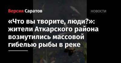 «Что вы творите, люди?»: жители Аткарского района возмутились массовой гибелью рыбы в реке