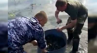 Полицейские схватили марийца, который своровал из Суры тысячу чувашских раков