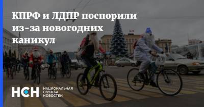 КПРФ и ЛДПР поспорили из-за новогодних каникул