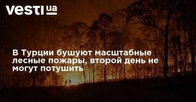 В Турции бушуют масштабные лесные пожары, второй день не могут потушить