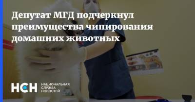 Депутат МГД подчеркнул преимущества чипирования домашних животных