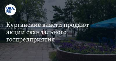 Курганские власти продают акции скандального госпредприятия