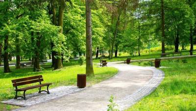 На пустырях вокруг памятника Денису Тену в Алматы планируют обустроить парковую зону