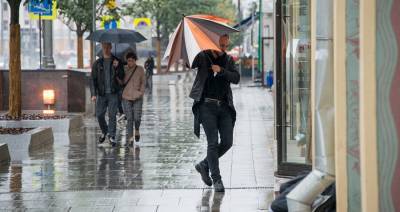Москвичей предупредили о дождливой погоде до конца недели
