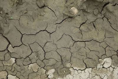 Краснодарский край опустился на шесть строчек в экологическом рейтинге из-за дефицита воды