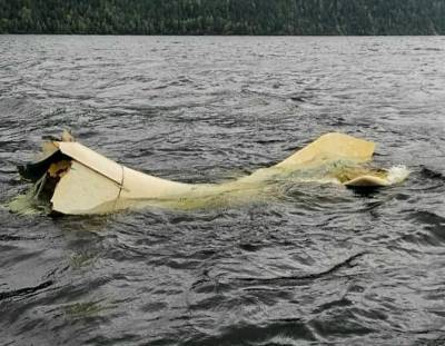 Хвост затонувшего 14 лет назад самолета всплыл на озере в Алтайском крае