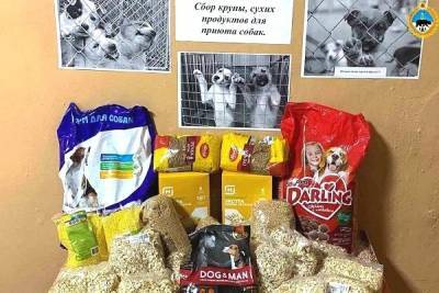 Сотрудники ухтинской ИК-29 передали продукты приюту для бездомных животных