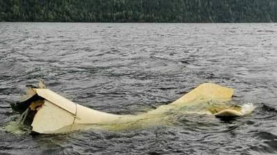 В алтайском озере всплыл хвост самолета, затонувшего 14 лет назад