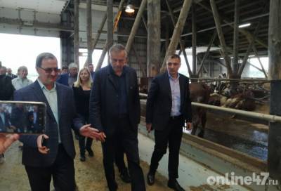 Александр Дрозденко: Продукция наших фермеров и крупных животноводческих хозяйств очень качественная