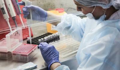 В США за день выявили более 24 000 зараженных коронавирусом