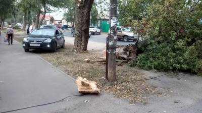 Ураган повалил огромные деревья в Воронеже
