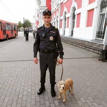 В Вологде полицейские вернули кокер-спаниеля хозяину