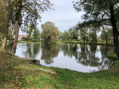 Пушкинские пруды в Болдине планируется расчистить к 2024 году