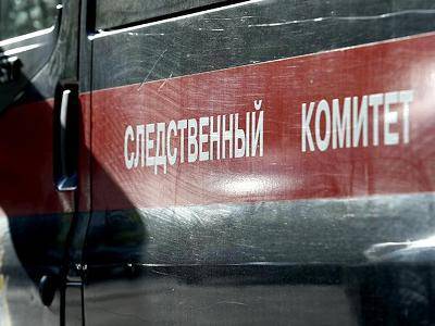 В Красноярске арестован 15-летний подросток по подозрению в подготовке теракта в школе