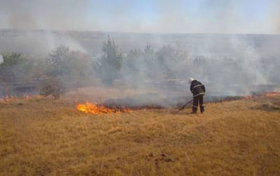 С начала года в ОРЛО выгорело более 1300 гектаров земли из-за пожаров
