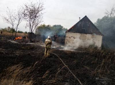 МЧС: в Липецкой области участились случаи возгорания сухой травы