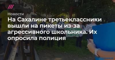 На Сахалине третьеклассники вышли на пикеты из-за агрессивного школьника. Их опросила полиция