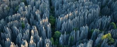 Ученые: «каменные леса» возникают из-за воздействия воды