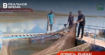 В Татарстане на семейной ферме выращивают 30 тонн рыбы в год — видео