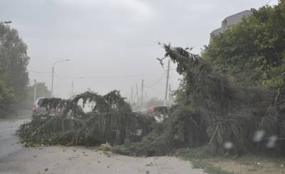 На посёлок Сараи в Рязанской области обрушился ураган