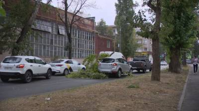 В Воронеже упавшие из-за урагана деревья повредили семь автомобилей