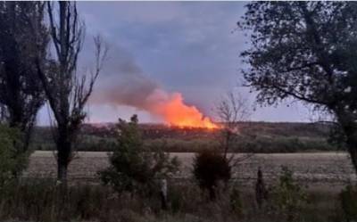 Мощные пожары охватили окраину Дебальцево, видео