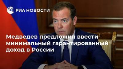 Медведев предложил ввести минимальный гарантированный доход в России