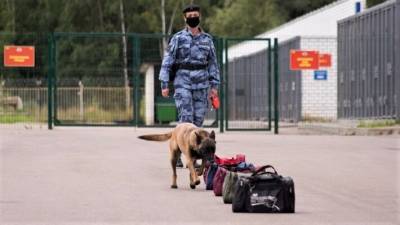 В МВД рассекретили число работающих в транспортной полиции собак