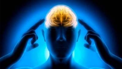 Загадка связи Сознания и Мозга