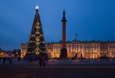 В Петербурге выделили 18 млн рублей на покупку новогодних елей