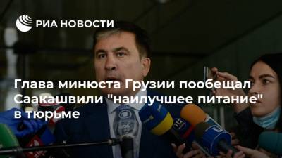 Глава минюста Грузии пообещал Саакашвили "наилучшее питание" в тюрьме