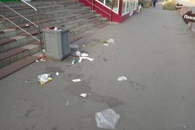 В Оренбурге убирать мусор помогают… вороны
